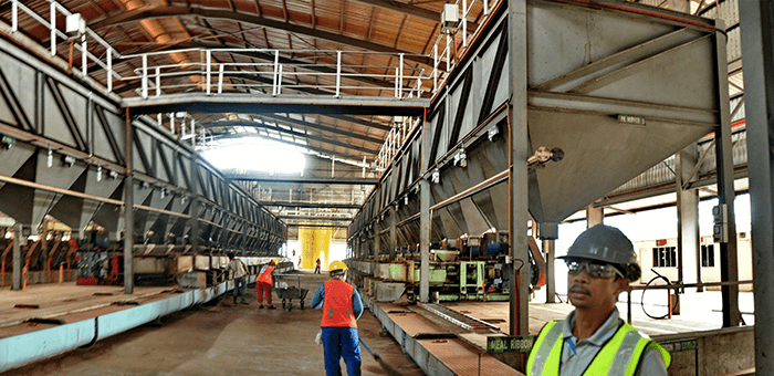 Palm Kernel Oil Extrusion Plant