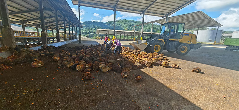 Palm oil mill plant