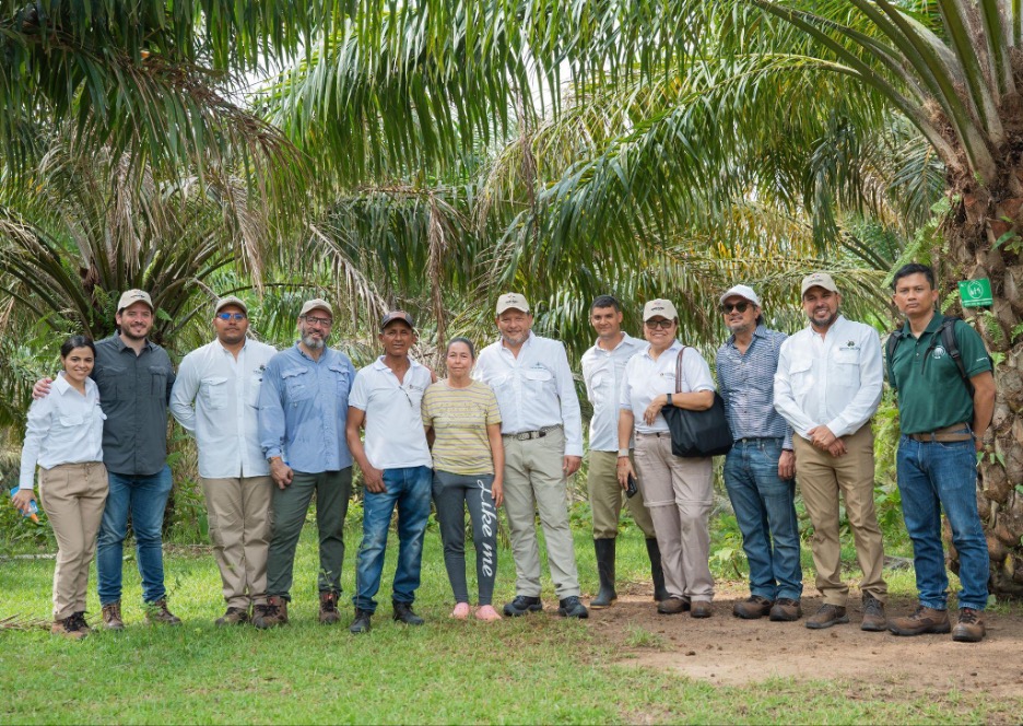From Violence to Prosperity： Cultivating Sustainable Palm Oil in San Pablo, Colombia
