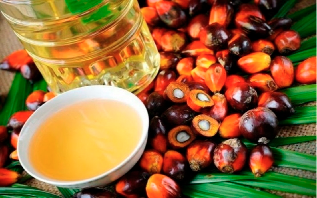 Malaysia's Palm Oil Stock Predicted to be Highest in Two Years in July 2025