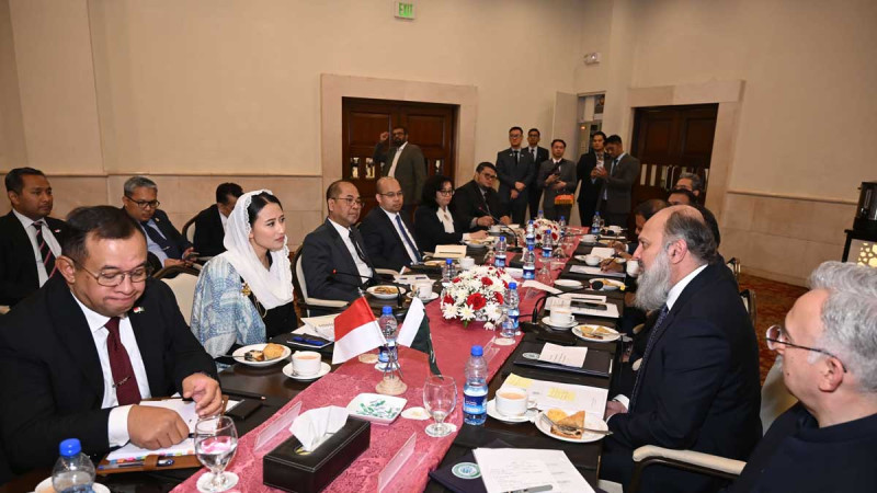 Pakistan Strengthens Its Role as Key Market for Indonesian Palm Oil, Trade Cooperation Deepens