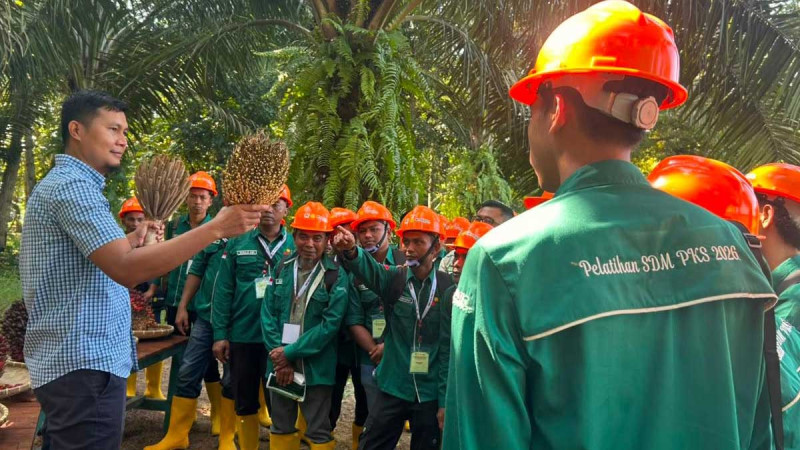 BPDP, Directorate General of Estates, and Koompasia Enviro Institute Train 90 Aceh Smallholders in Sustainable Palm Oil Cultivation
