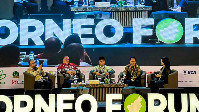 Indonesia’s 50% DHE SDA Rule Raises Liquidity Concerns for Palm Oil Industry