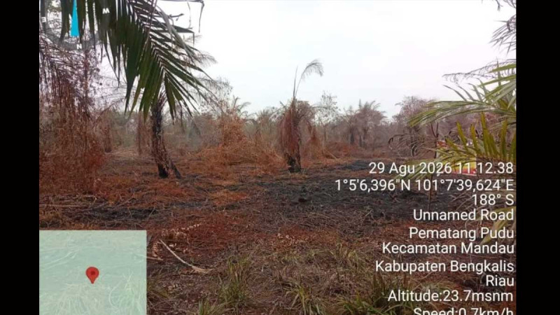 Bengkalis Palm Oil Plantation Owner Named Suspect in Alleged Illegal Use of 4-Hectare Forest Area
