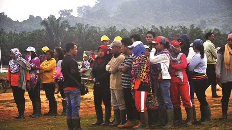 Sumatra, Kalimantan Forest Fires Raise Safety Concerns for Palm Oil Workers