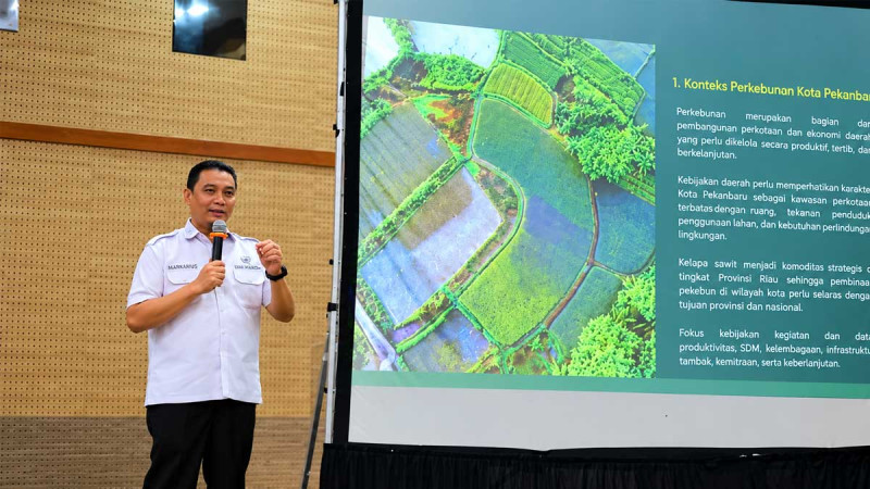 Pekanbaru Develops Sustainable Palm Oil Action Plan for 24,000 Hectares